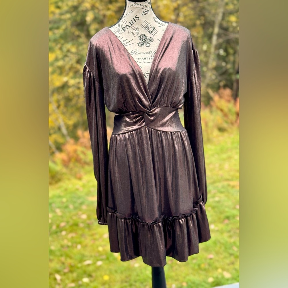 Sample Dress Elegant Metallic Long Sleeve